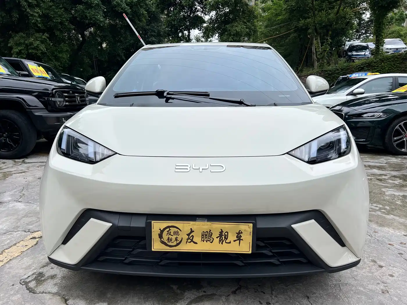 BYD Seagull 2024 Glory Edition 305km Vitality Edition фото 2