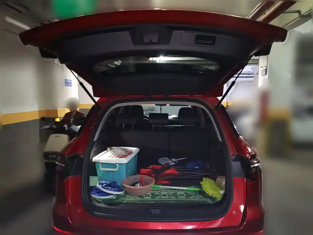 BYD Song Pro 2019 1.5T Automatic Elite фото 10