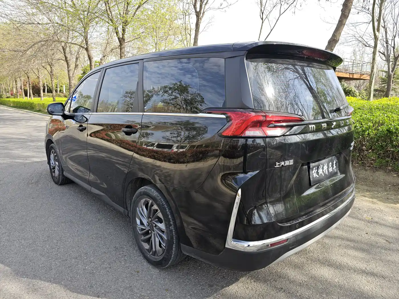 SAIC MAXUS CHASE G50