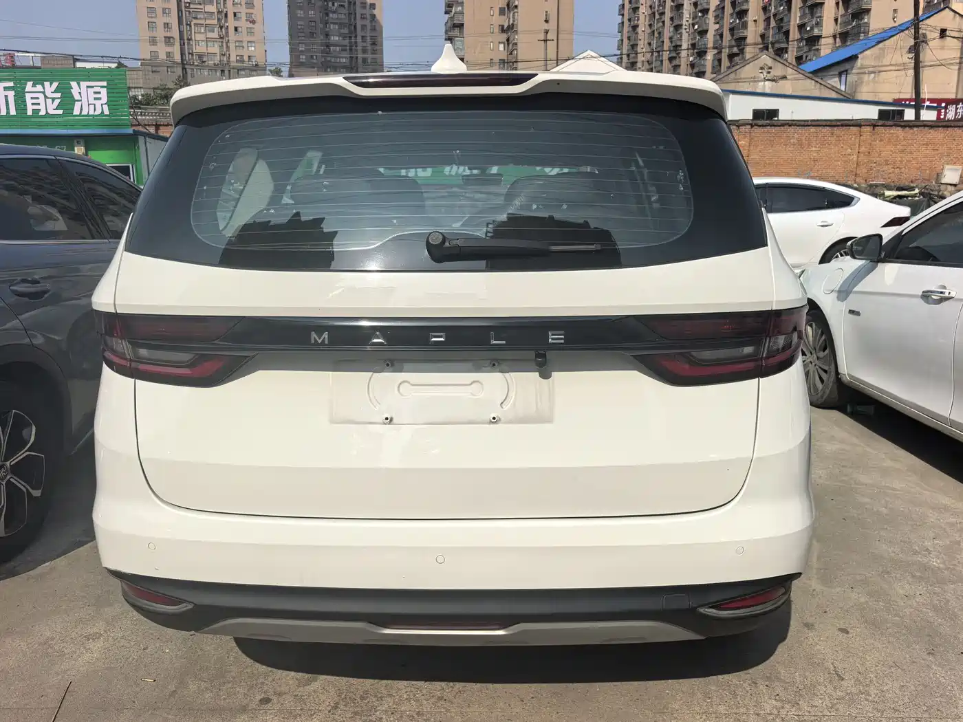 LIFAN MOTORS LIFAN MAPLE LEAF 80V