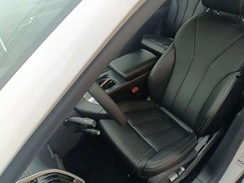 BYD Tang 2019 2018 2.0T Automatic Smart Connection Honor Edition 7-Seater China V