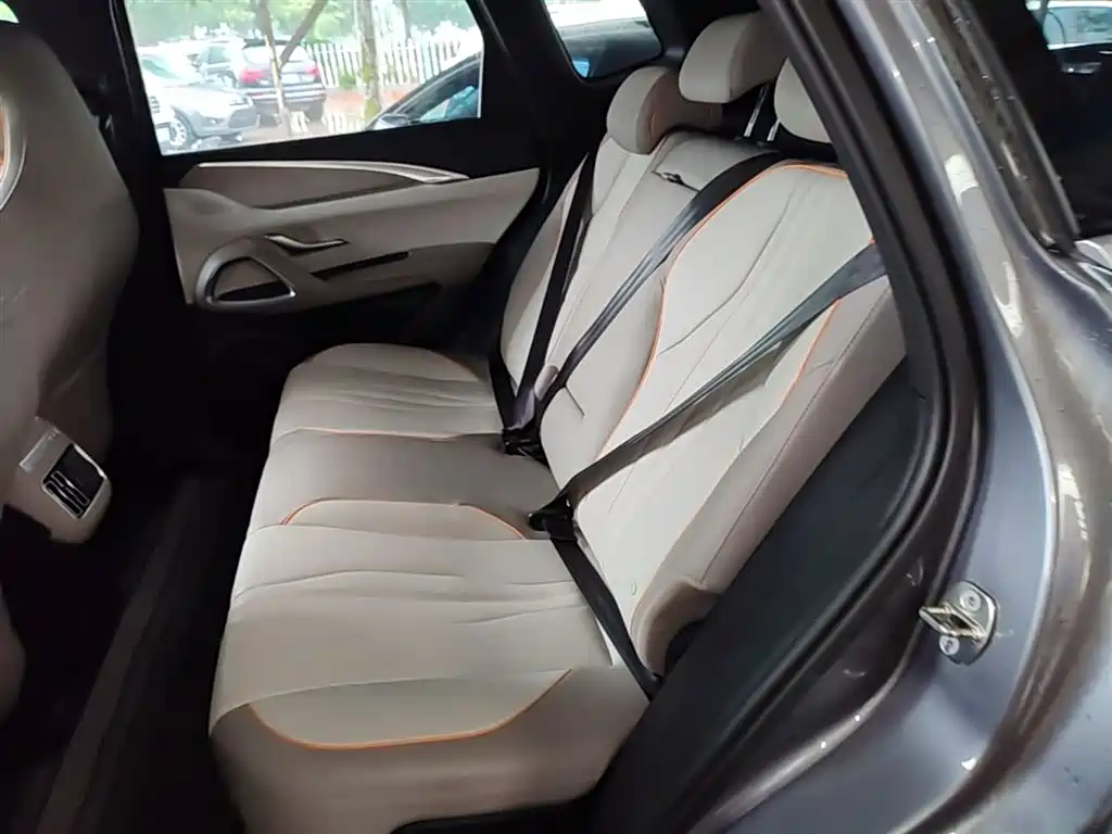 BYD Song Pro New Energy 2023 Champion Edition DM-i 110KM Excellence фото 17