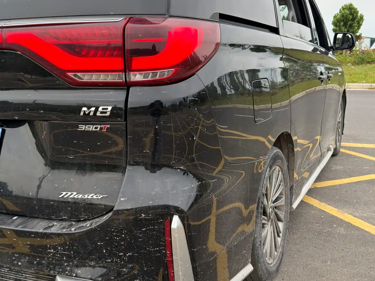 GAC Trumpchi Trumpchi M8 2021 Master Series 390T Ultimate Edition фото 27