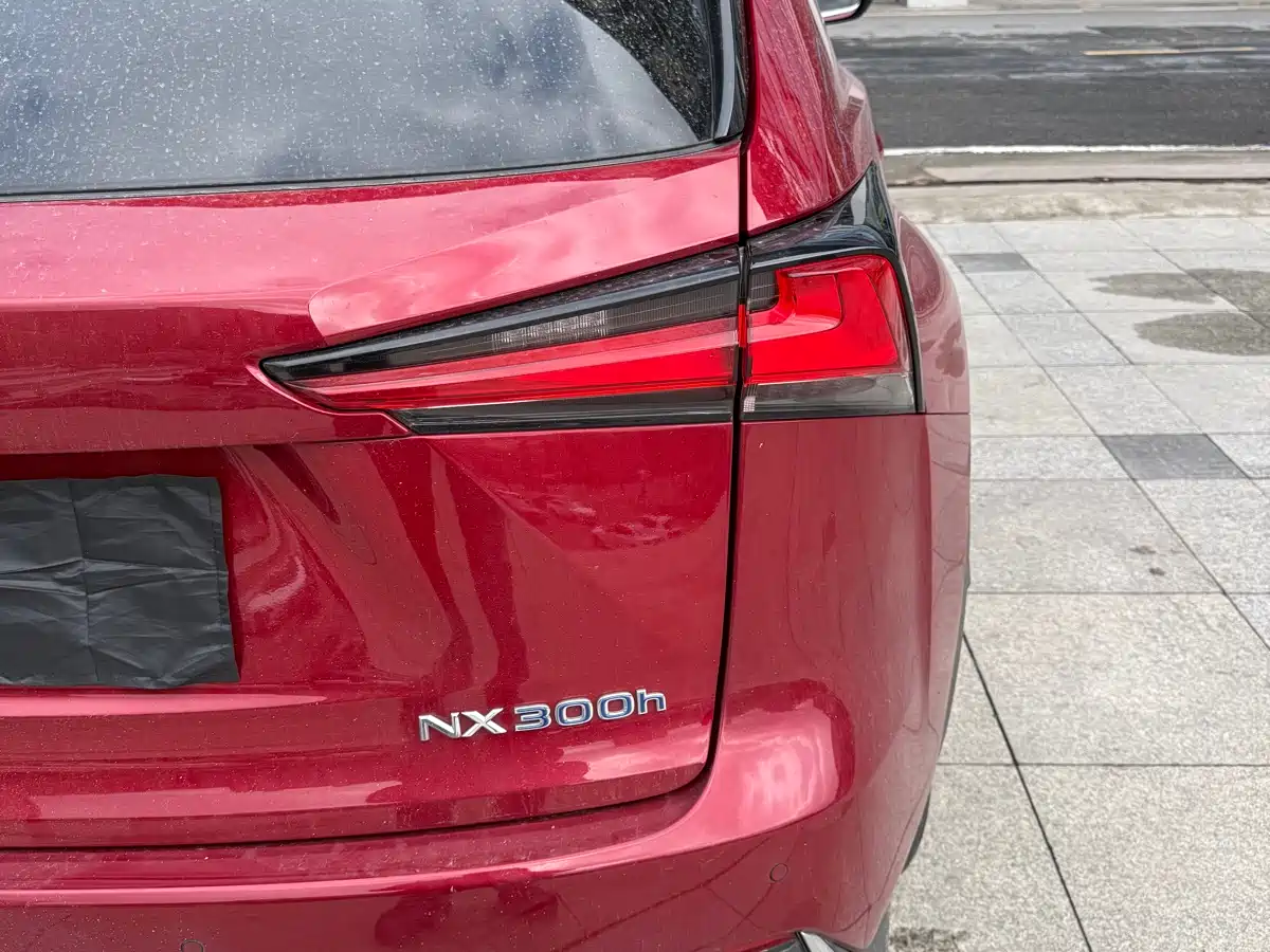 Lexus NX 2020 300h FWD F Sport China V фото 20