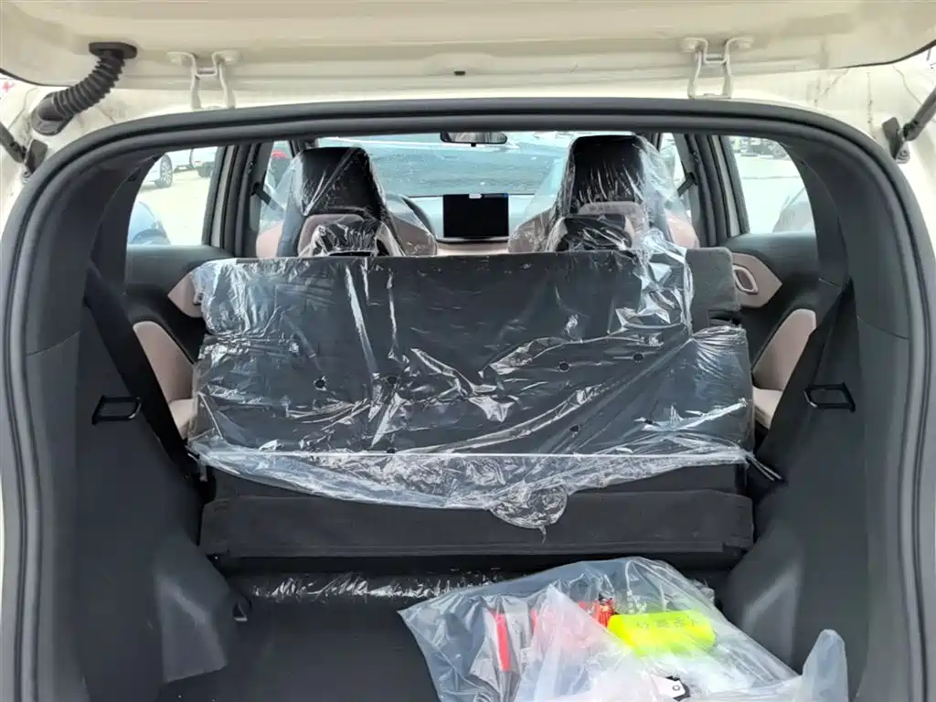 BYD Seagull 2025 Smart Drive Edition 305km Vitality Version фото 19
