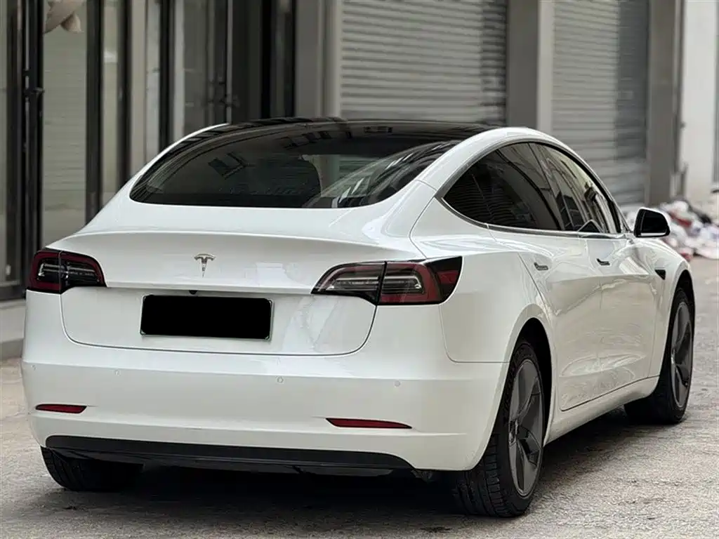Tesla Model 3 2019 Standard Range Rear-Wheel Drive Upgrade фото 16