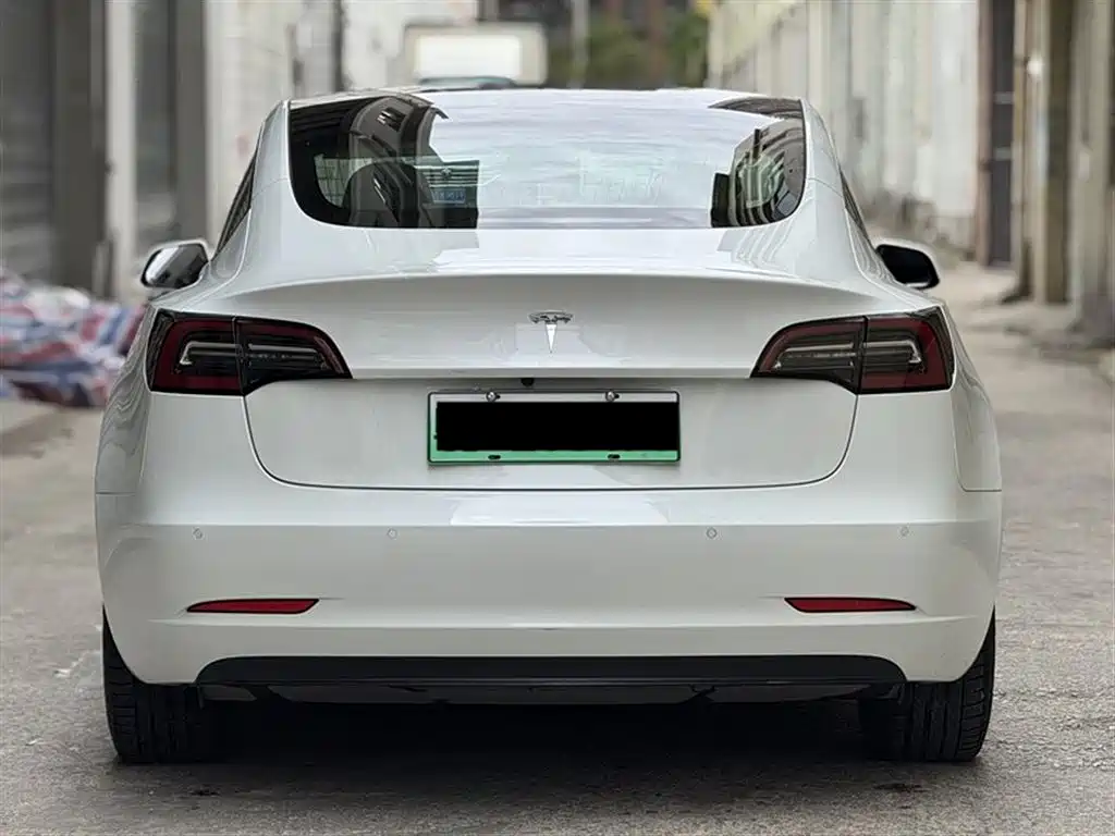 Tesla Model 3 2019 Standard Range Rear-Wheel Drive Upgrade фото 17
