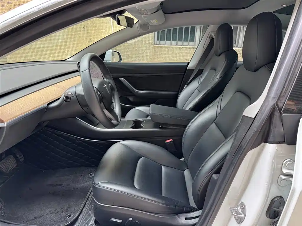 Tesla Model 3 2019 Standard Range Rear-Wheel Drive Upgrade фото 4