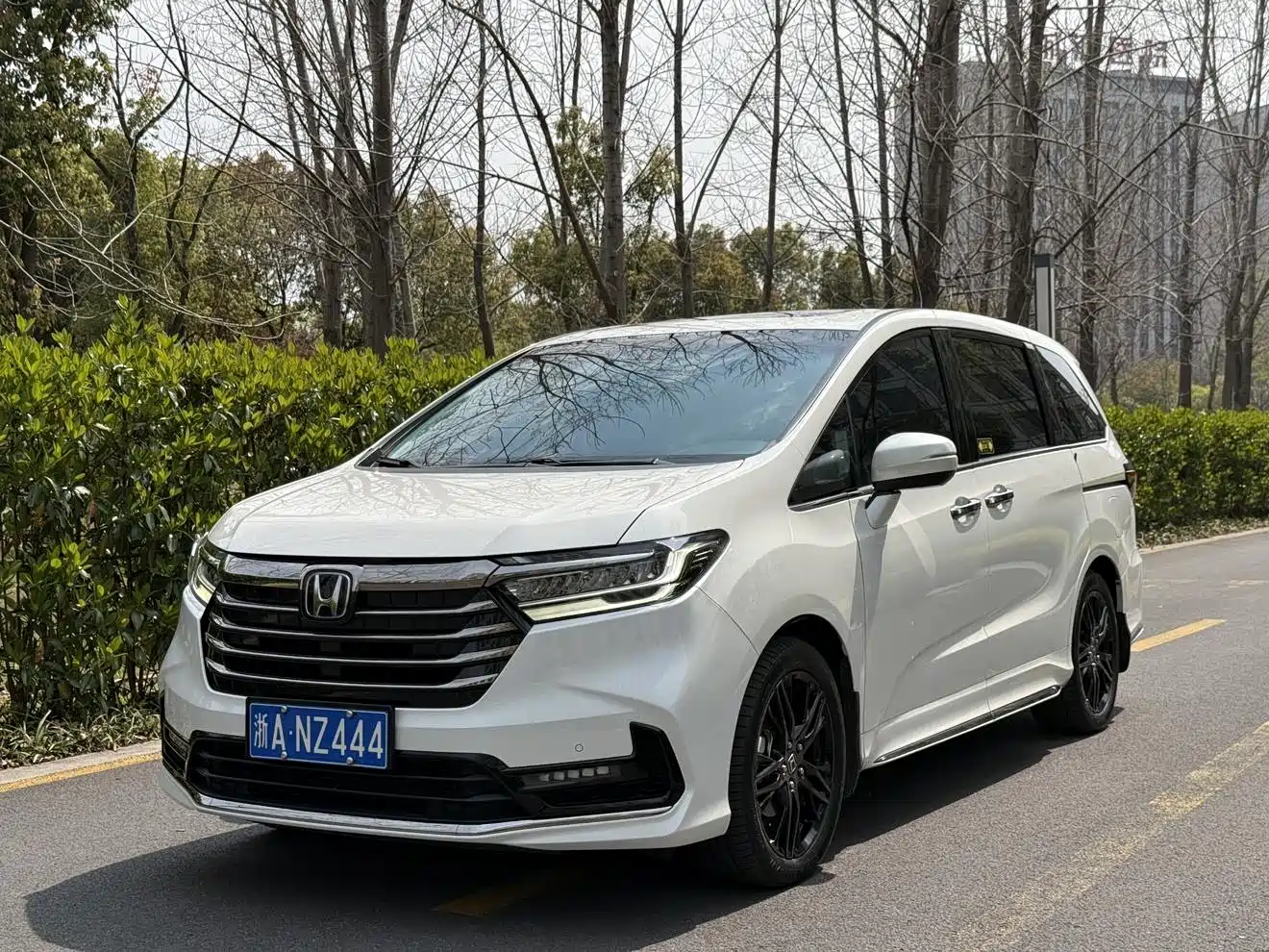 HONDA ODYSSEY