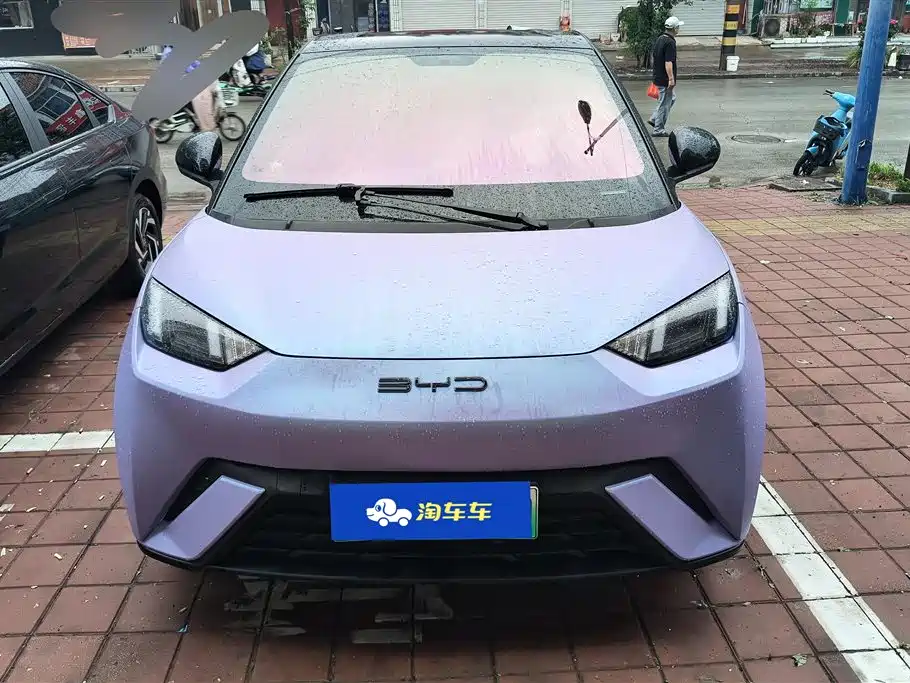 BYD Seagull 2024 Glory Edition 305km Vitality Edition фото 2