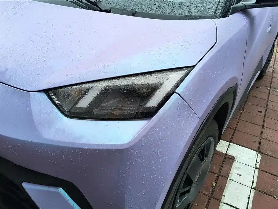 BYD Seagull 2024 Glory Edition 305km Vitality Edition фото 5