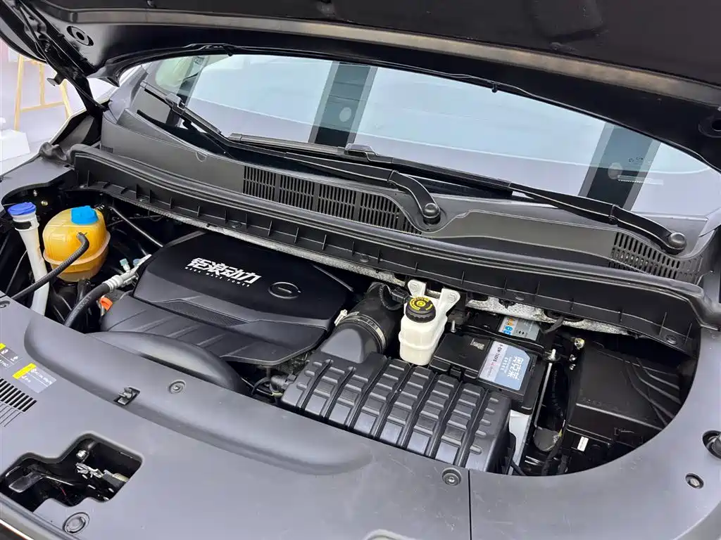GAC Trumpchi Trumpchi M8 2023 Facelift Master Series 390T 4-seater Royal Premium Edition фото 25