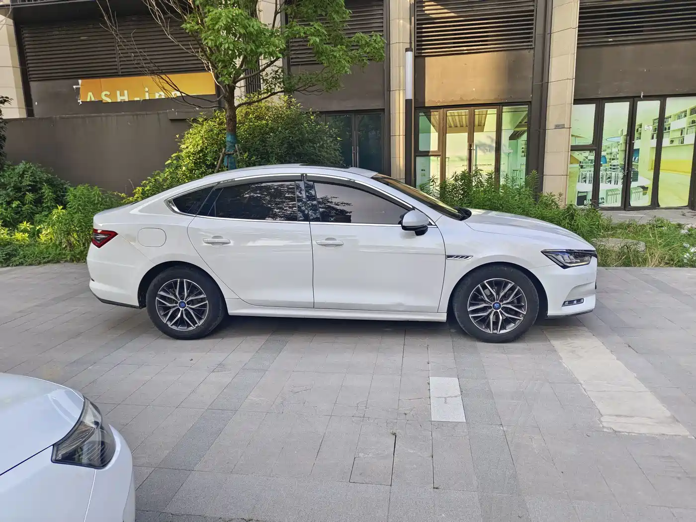 BYD Qin Pro New Energy 2018 2019 EV Super Edition High-power Smart Connection Premium