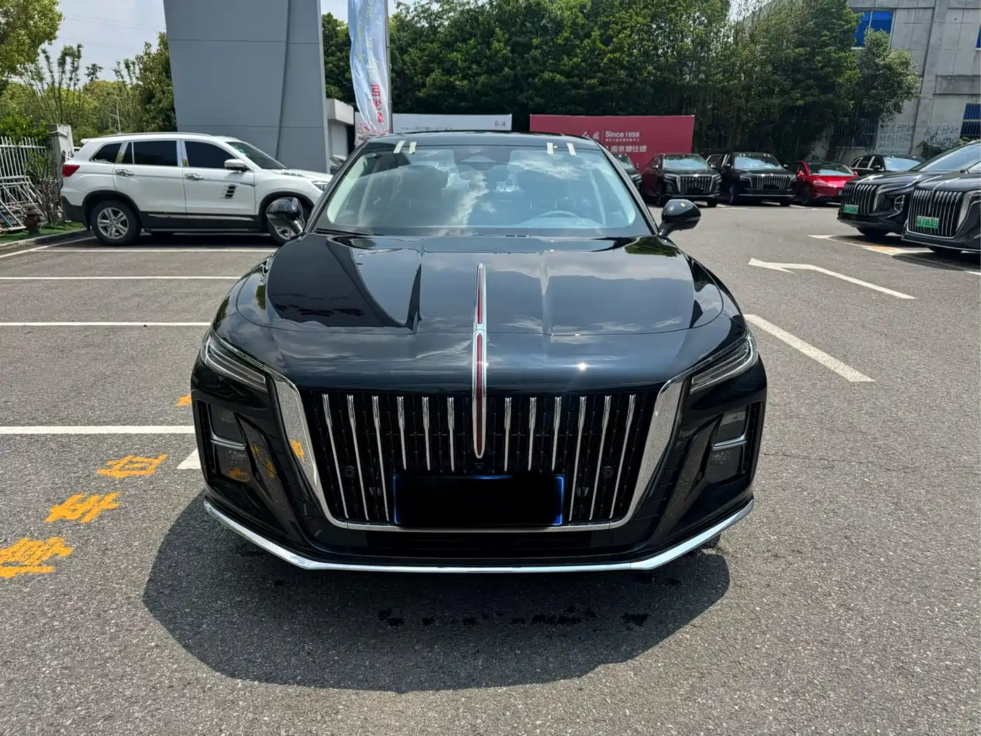 Hongqi H5 2025 2.0T Automatic Flag Celebration 500,000 Units Anniversary Edition фото 2