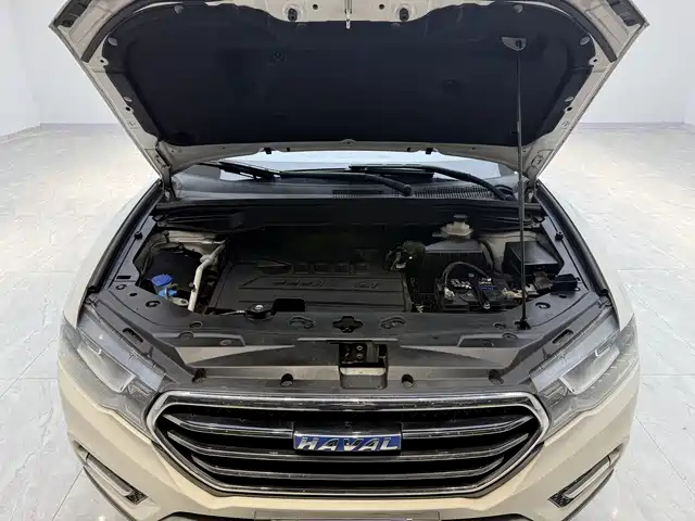 Haval H6 Coupe 2016 Blue Label 1.5T Automatic 2WD Elite фото 8