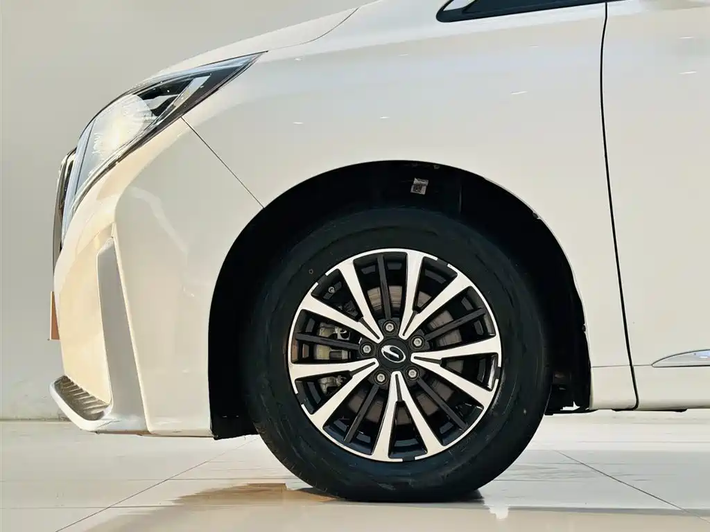 GAC Trumpchi Trumpchi M8 2021 Leading Show Series 390T Premium Edition фото 9