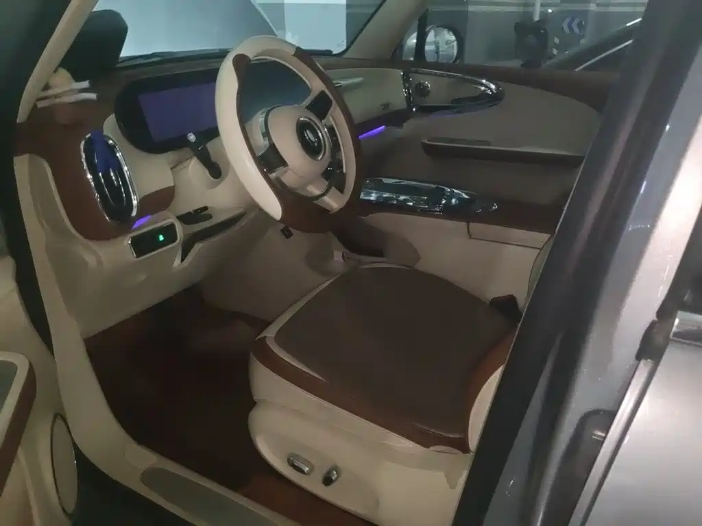 Ora Ballet Cat 2024 2023 401km Premium Model