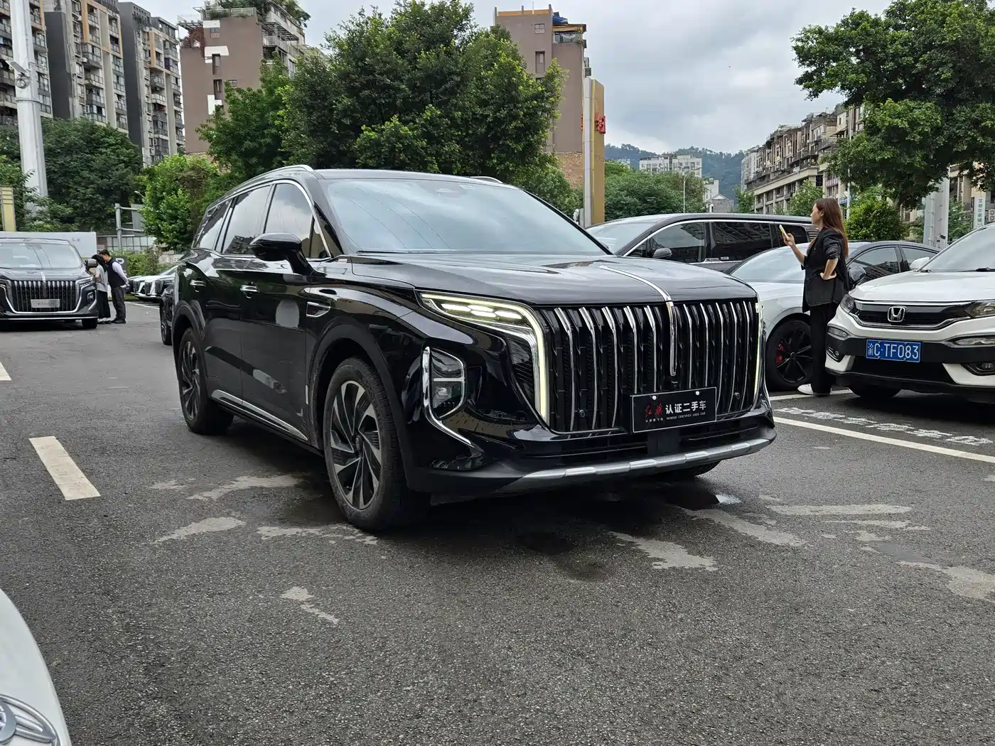 Hongqi HS7 PHEV 2024 2.0T PHEV AWD Flagship 6-Seater фото 3