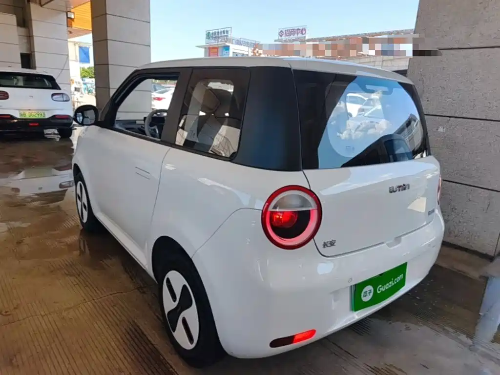 Changan Qiyuan Changan Lumin 2026 2026 Model 205km Treasure Edition