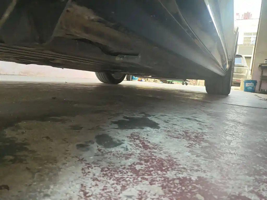 Buick Regal 2024 Model 28T Premium фото 21