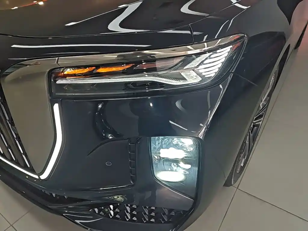 Hongqi H9 2025 2024 2.0T Qi Enjoy Private Fashion Edition