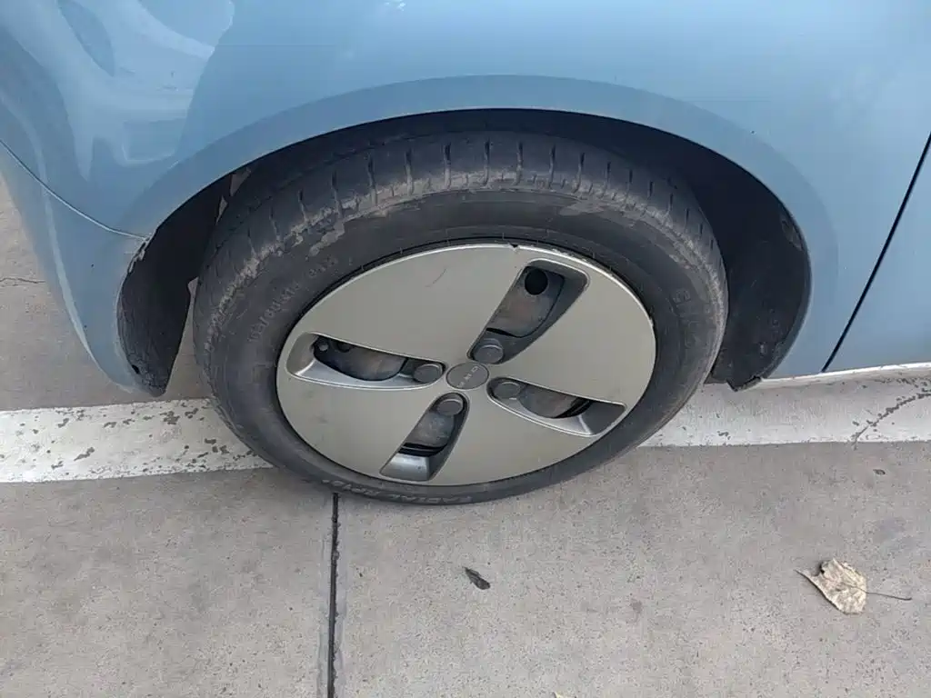 Ora Black Cat 2020 2019 Model 351km Smart Fun Edition