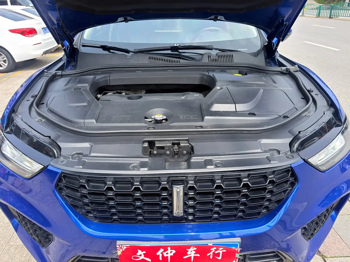 WEI PAI WEI BRAND VV5