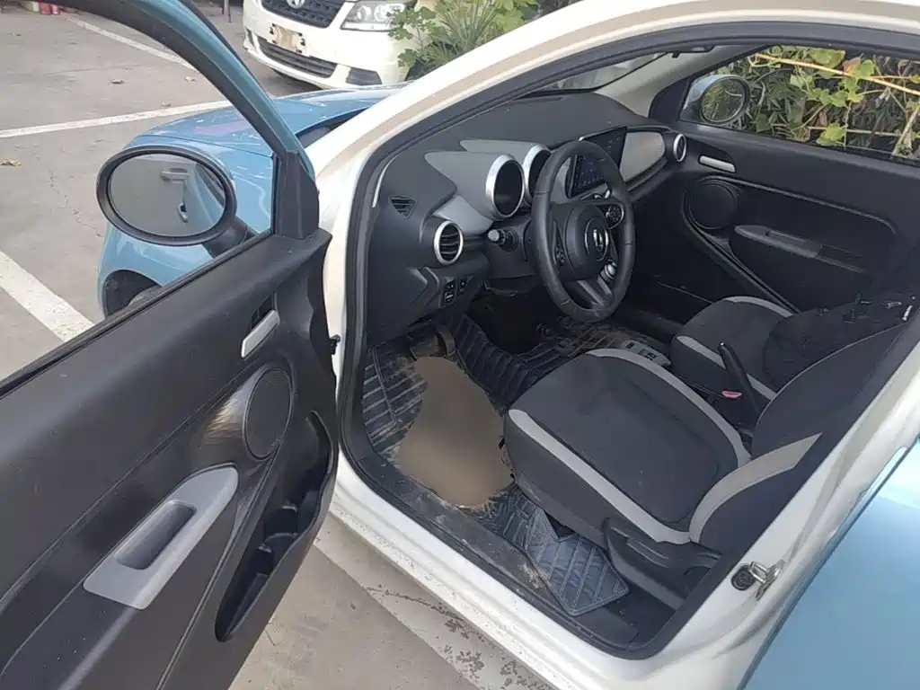 Ora Black Cat 2020 2019 Model 351km Smart Fun Edition