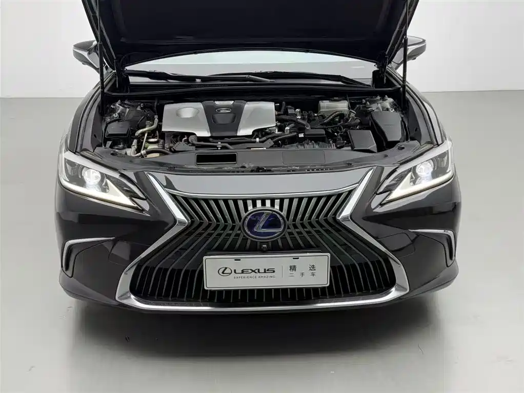 Lexus ES 2018 300h Excellence Edition China V фото 4