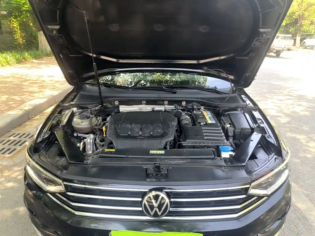 Volkswagen Magotan 2020 330TSI DSG Leading фото 20