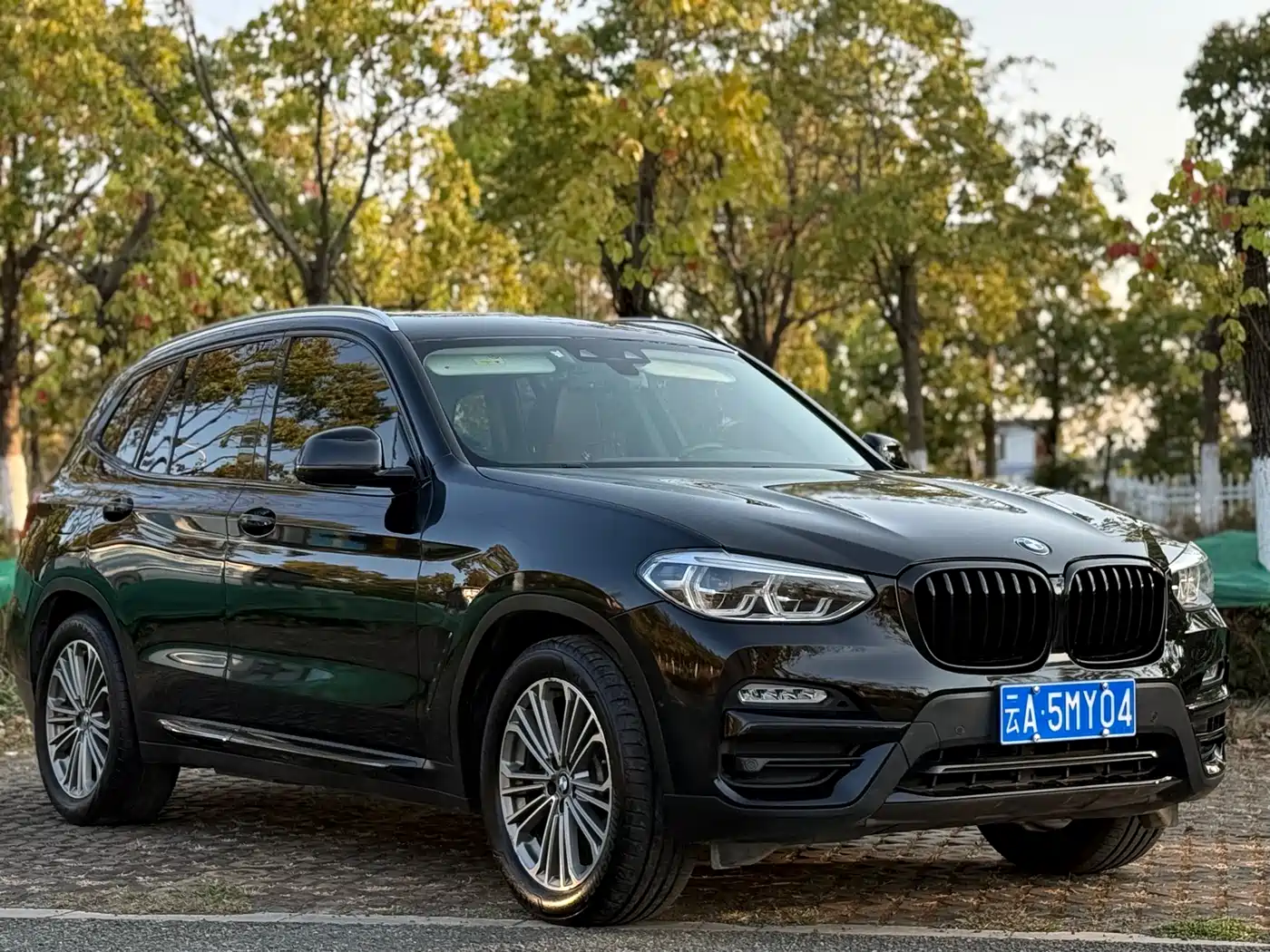 BMW X3 2018 xDrive28i Luxury Package China VI фото 25