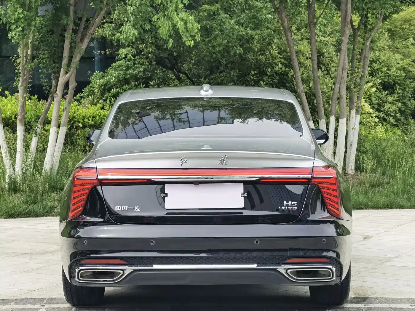 Hongqi H5 2024 2.0T Automatic Smart Connect Flag Smooth Edition фото 5