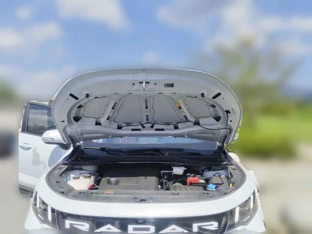 Geely Radar Radar Horizon 2026 2025 EM-P 4WD Long Box Smart Edition