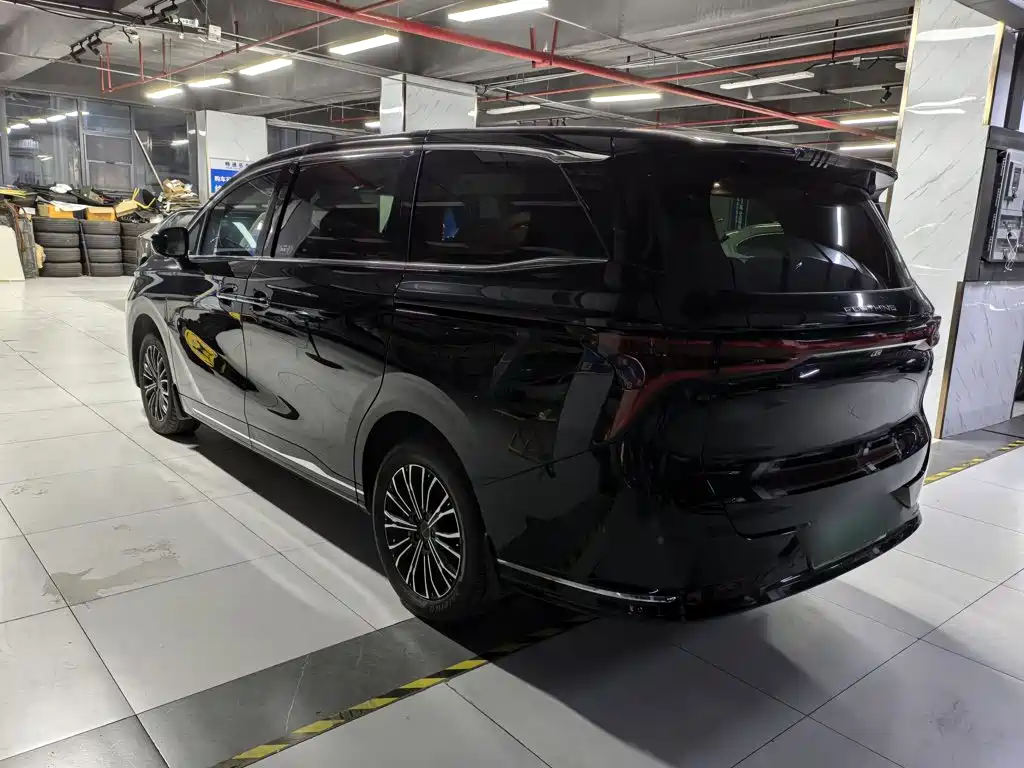 Dongfeng Fengxing Starlight V9 2025 2024 1.5TD 200km Chinese Knot Series Exclusive