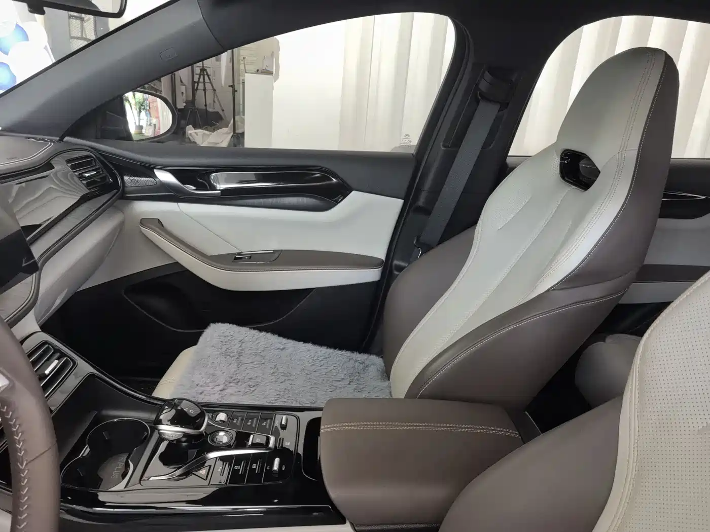 BYD Qin PLUS 2023 Champion Edition DM-i 55KM Leading фото 28