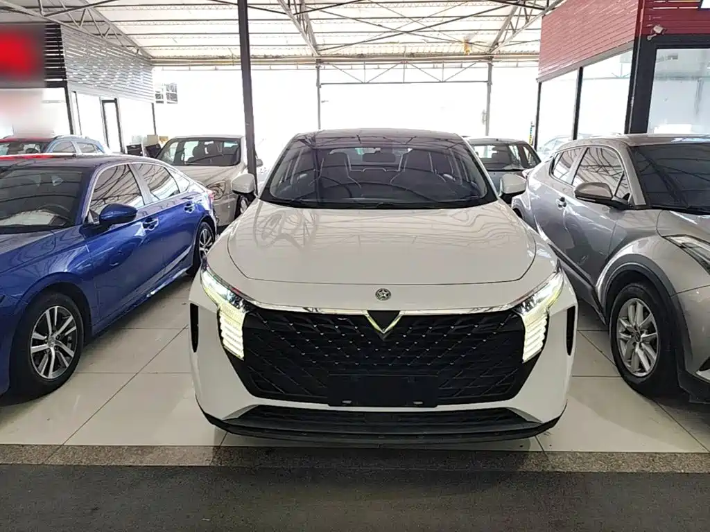 Venucia Big V 2022 2021 260T Idol Edition