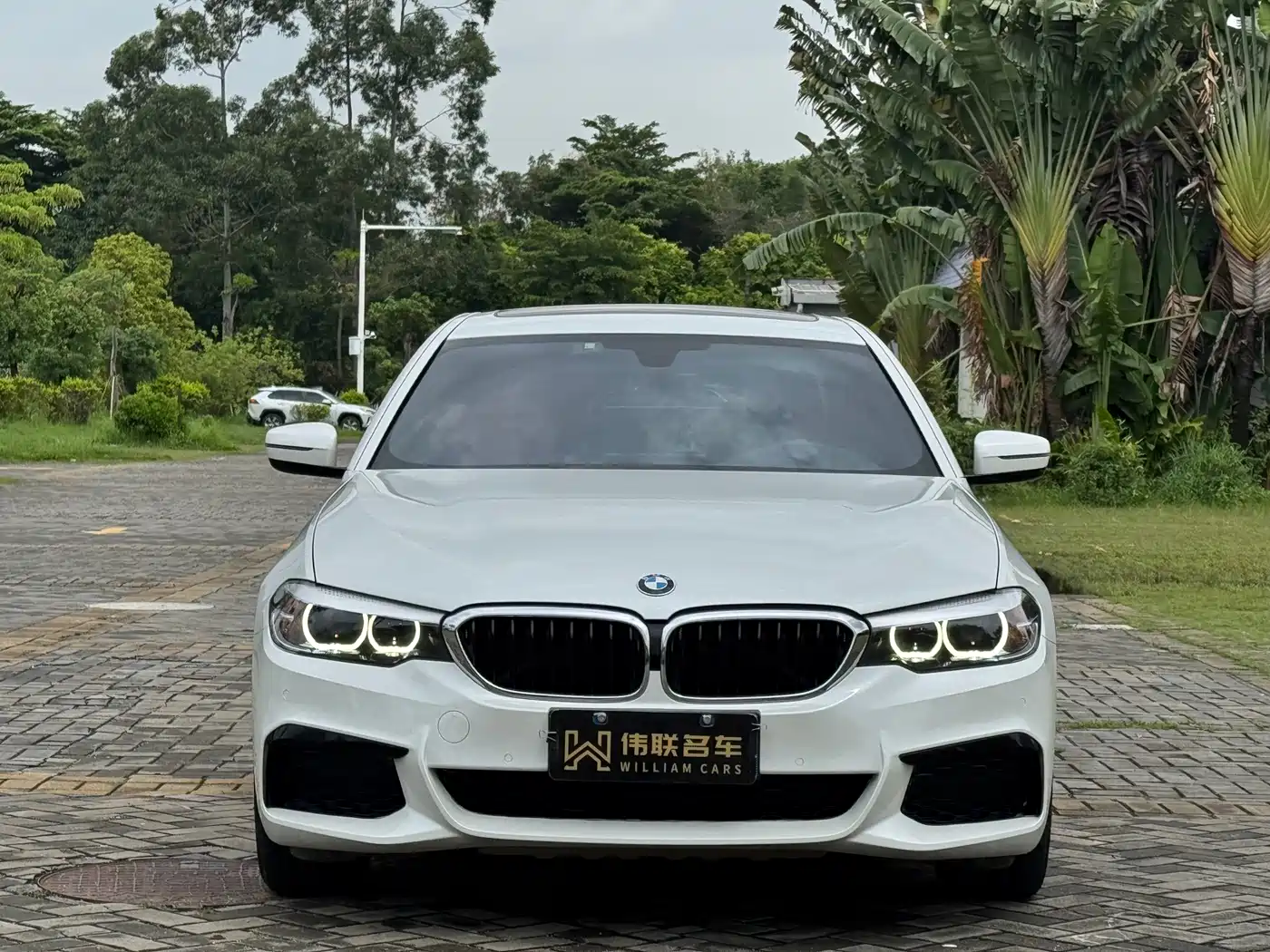 BMW 5 Series 2019 Facelift 530Li Leading M Sport Package фото 2