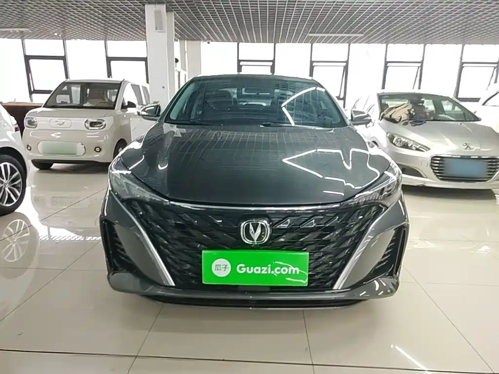 Photo 3 - Changan Eado