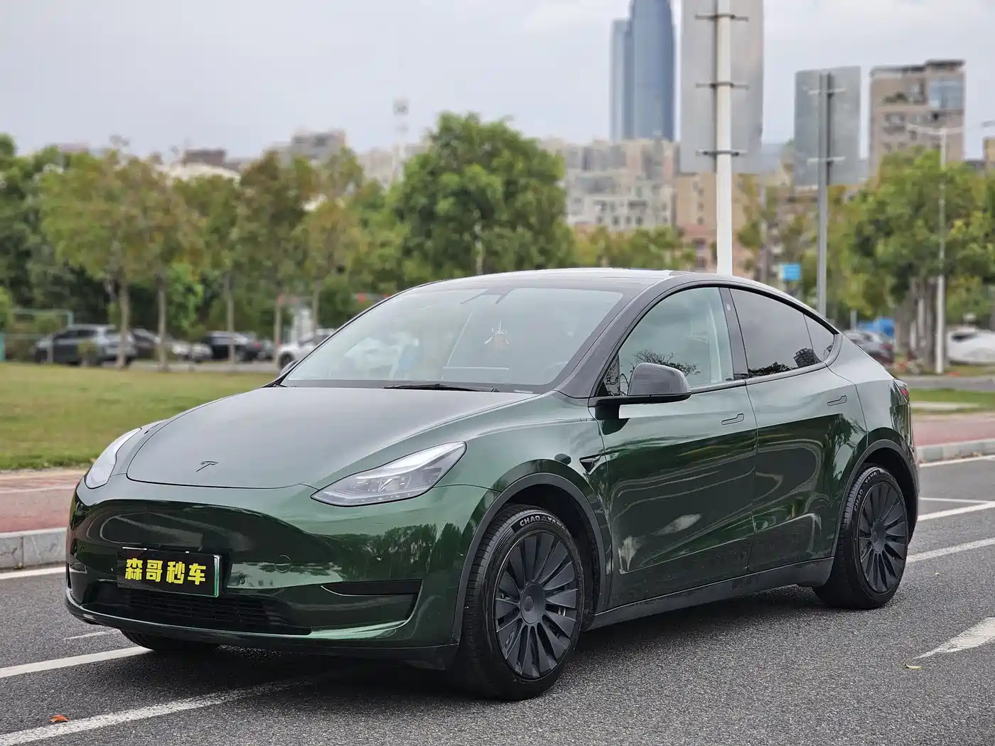 TESLA MODEL Y