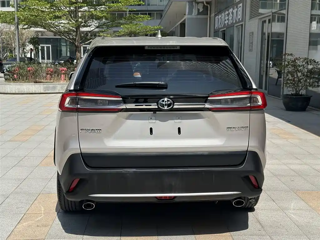 Toyota Wildlander 2020 2.0L CVT 2WD Luxury Edition фото 8