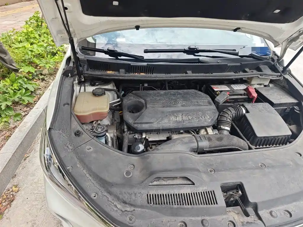 BYD Song MAX 2019 1.5T Automatic Smart Connection Rui Yi 7-seater China V фото 20