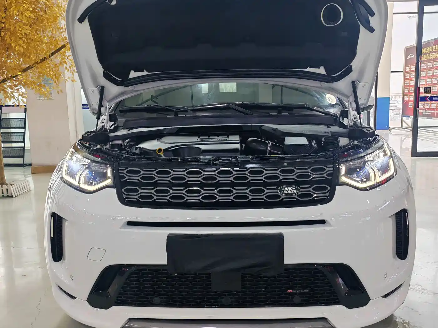 LAND ROVER DISCOVER SPORTS