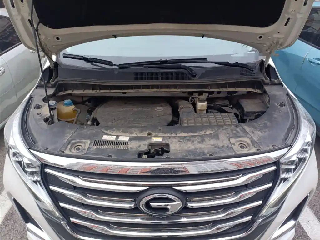 GAC Trumpchi Trumpchi M8 2020 Pilot 390T Ultimate Edition фото 11