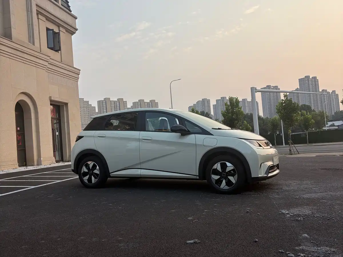 BYD Dolphin 2026 2025 420km Freedom Edition