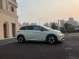 Фото 4 - BYD Dolphin