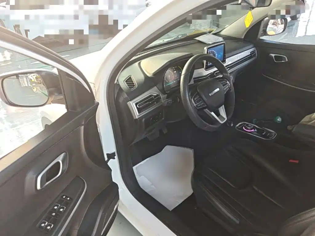 Dayun Yuehu 2022 2022 30.66kWh 2WD VIP Edition