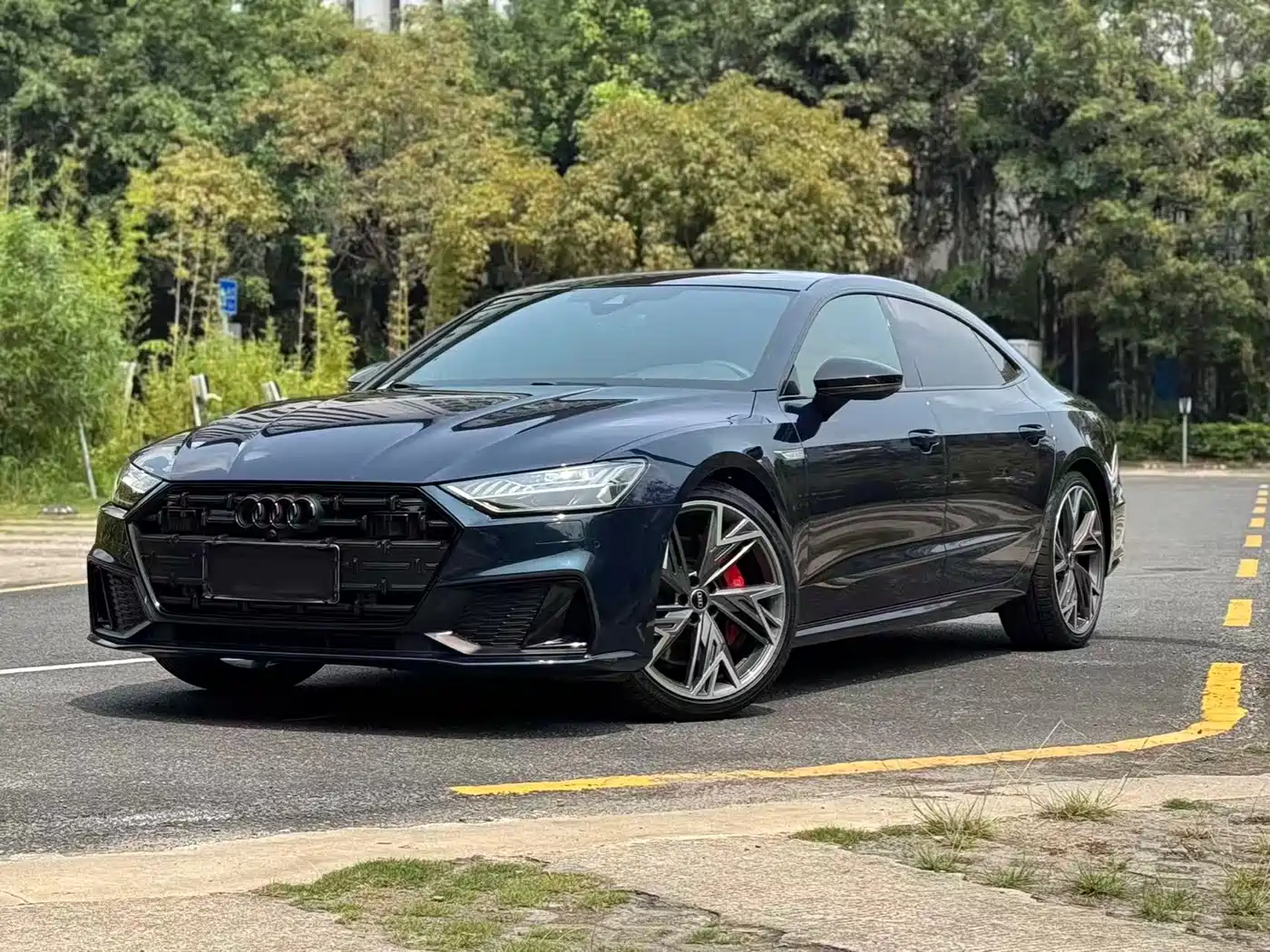 Audi A7L 2022 55 TFSI quattro S-line edition one Pioneer Edition