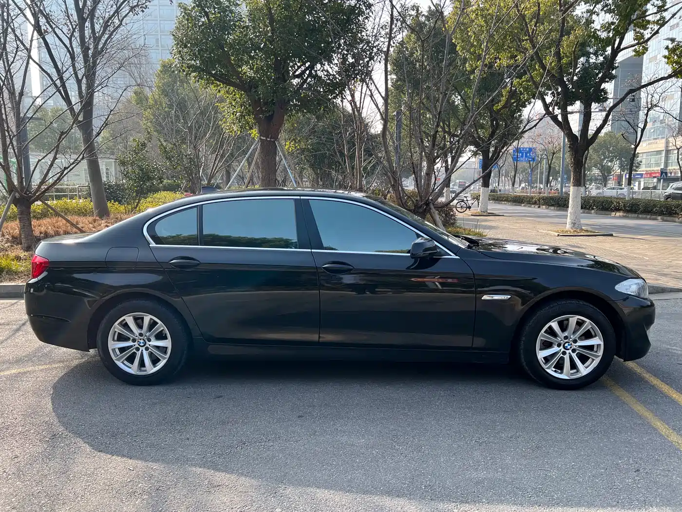 BMW 5 Series 2013 525Li Leadership фото 4