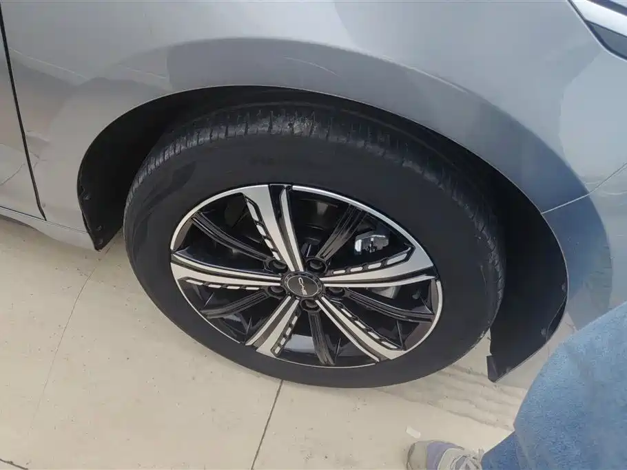 BYD Destroyer 05 2023 Champion Edition DM-i 120KM Honor фото 6