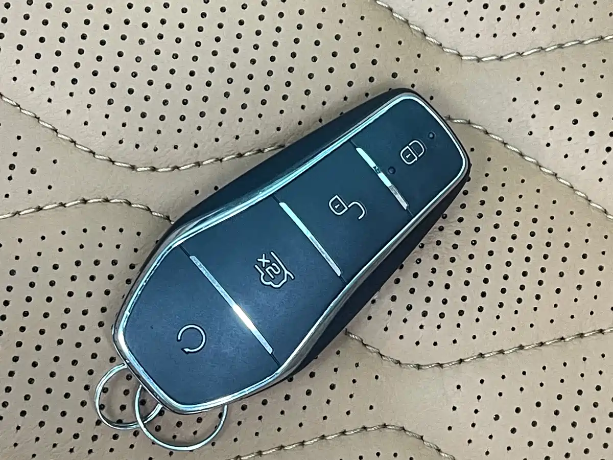 BYD Tang New Energy 2023 Model DM-i Champion Edition 112KM Deluxe фото 14